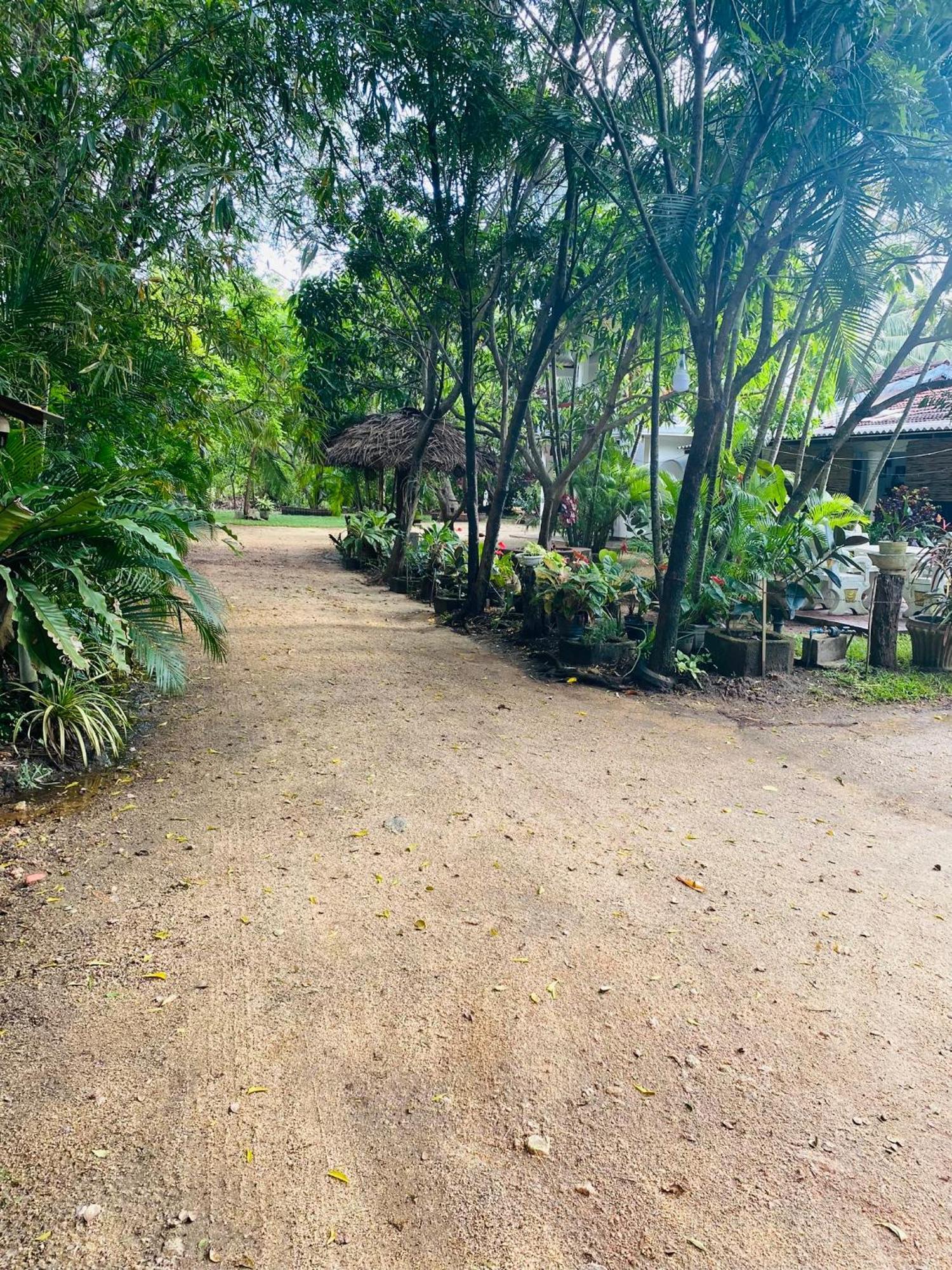 The Green Garden Dambulla Buitenkant foto