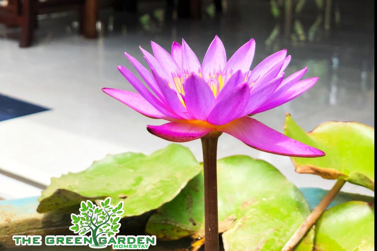 The Green Garden Dambulla Buitenkant foto